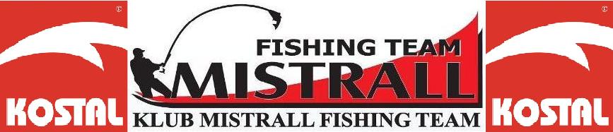 SYGNALIZATOR BRAŃ PODWIESZANY MISTRALL 9g ka Marka Mistrall