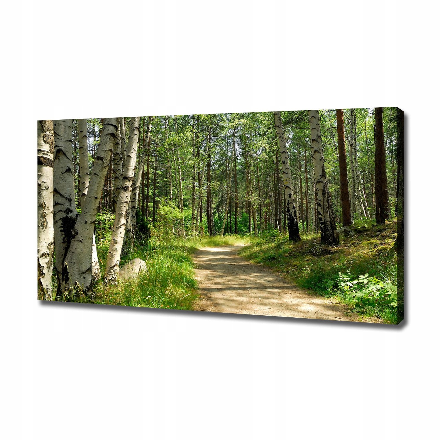 

Foto obraz na płótnie Ścieżka w lesie 120x60 cm