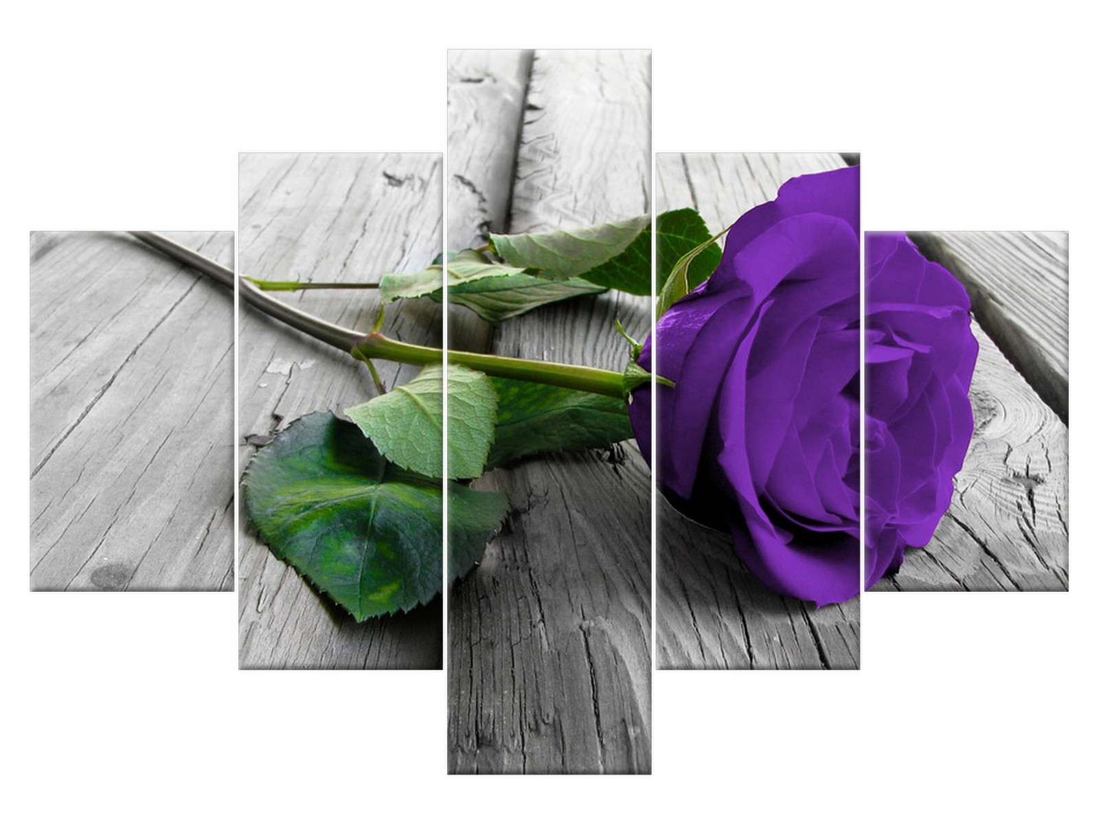 

Obraz Kwiaty Dostojna róża 100x70 Róża do salonu