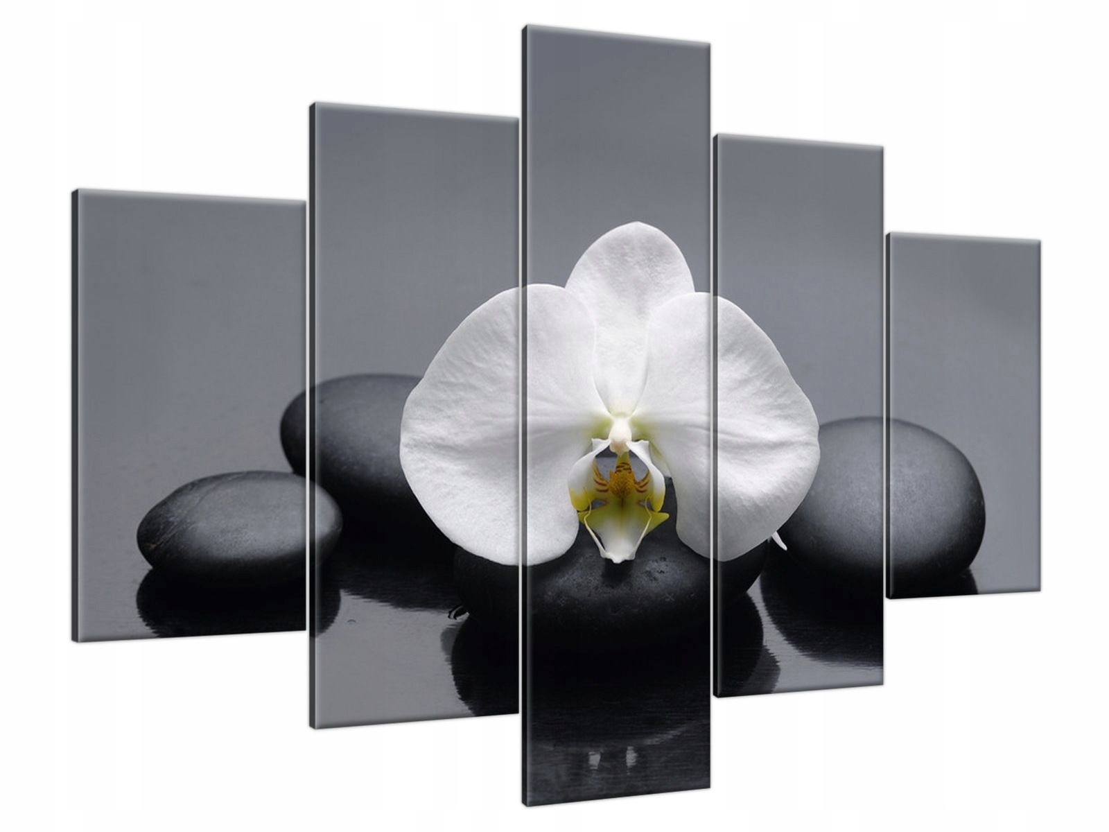 

Obraz drukowany 150x105 producent