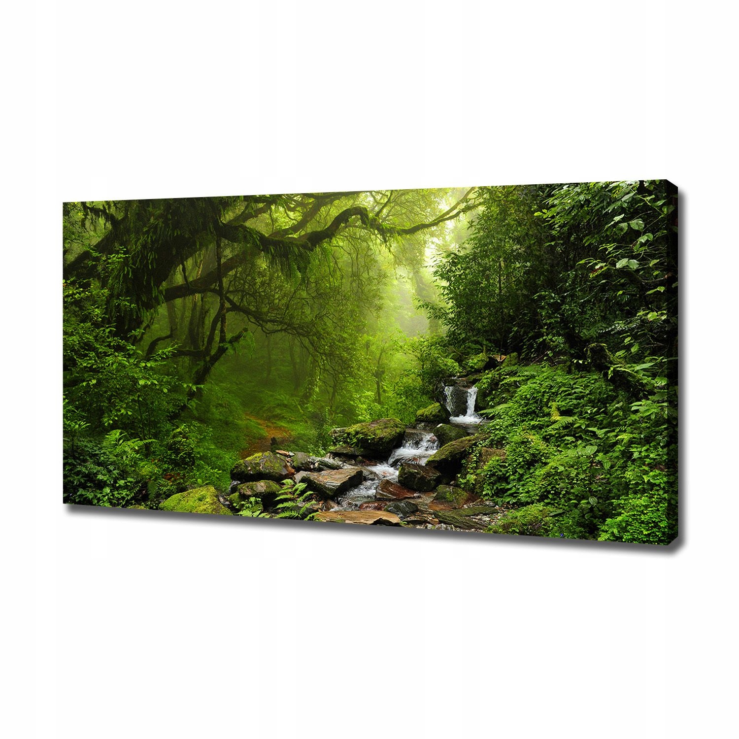 

Foto obraz na płótnie Dżungla w Nepalu 120x60 cm