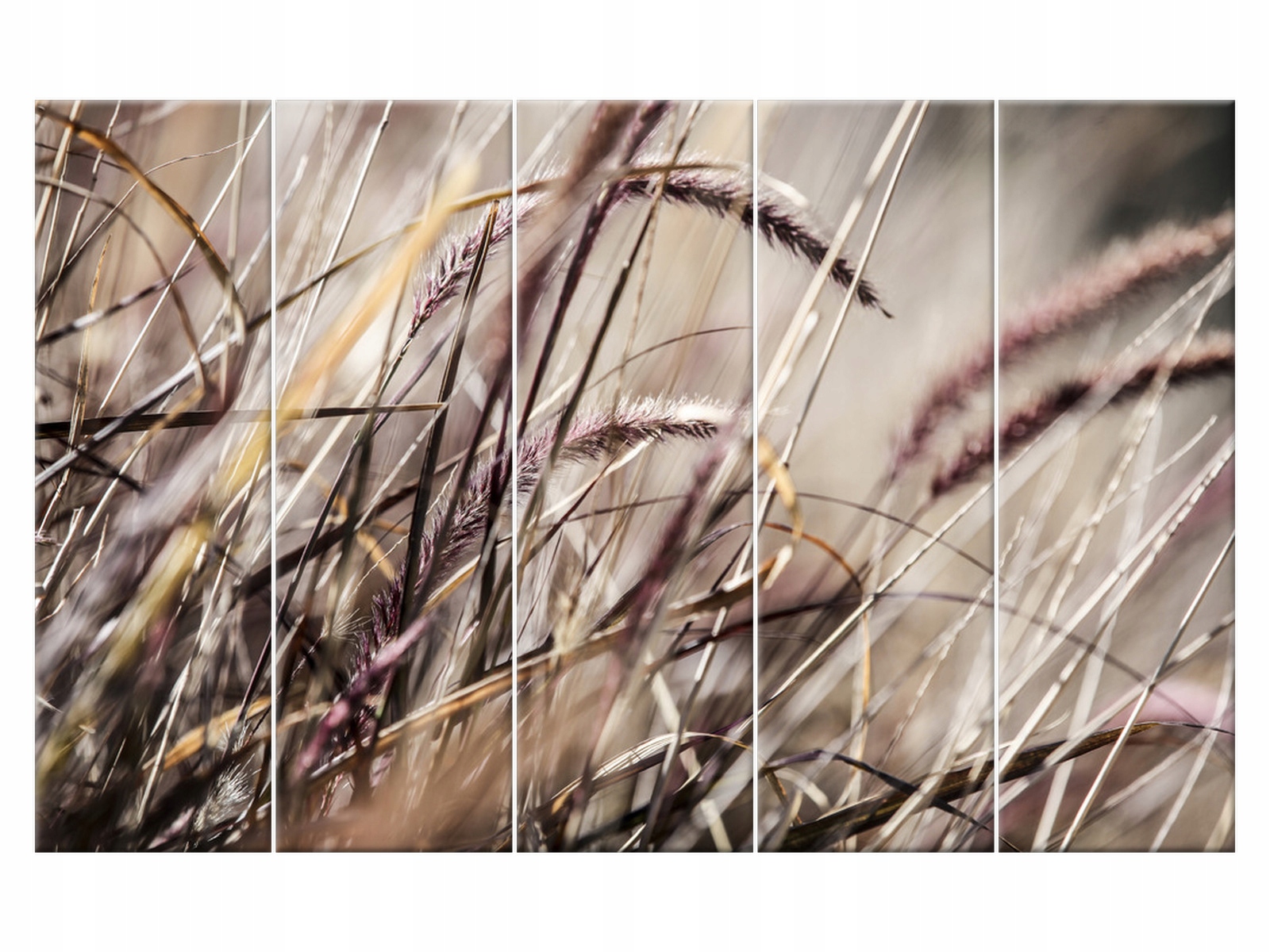 

Obraz 100x63 Rośliny Buszujący w trawie Płótno