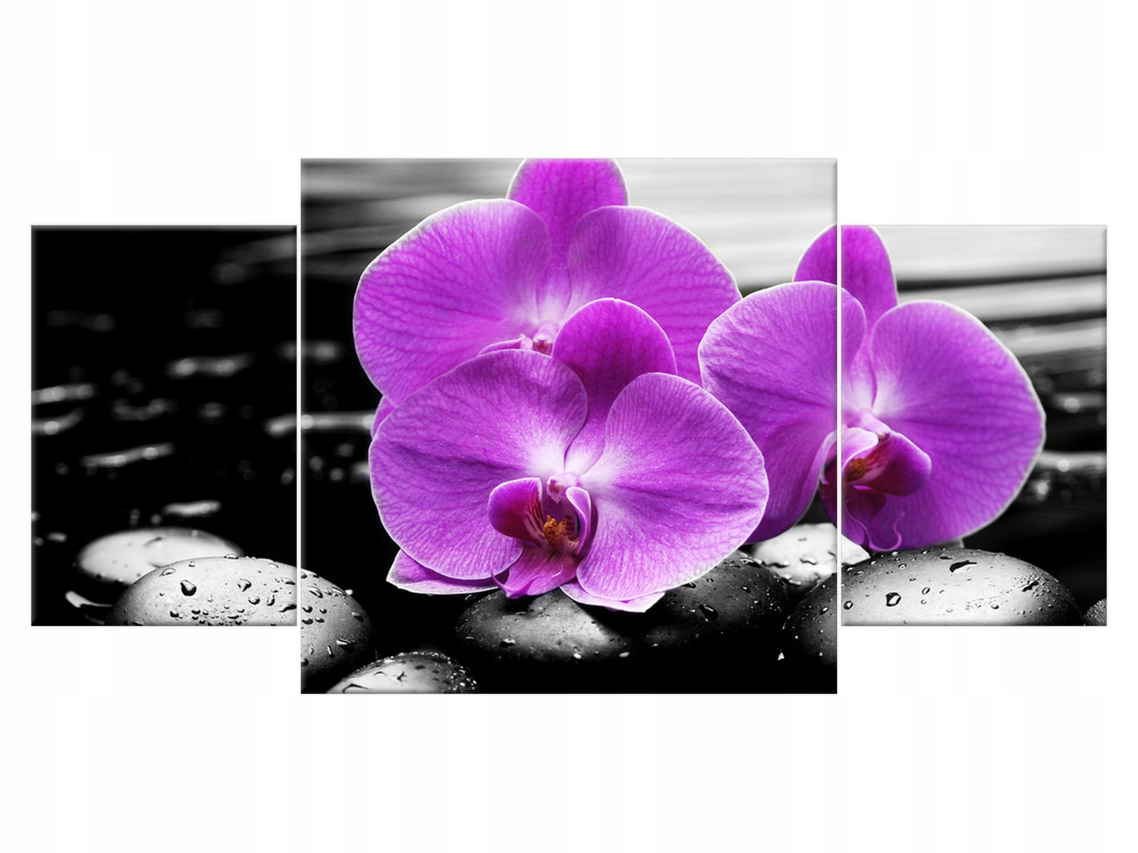 

Obraz Ogień i woda Ostoja piękna 80x40 Rośliny