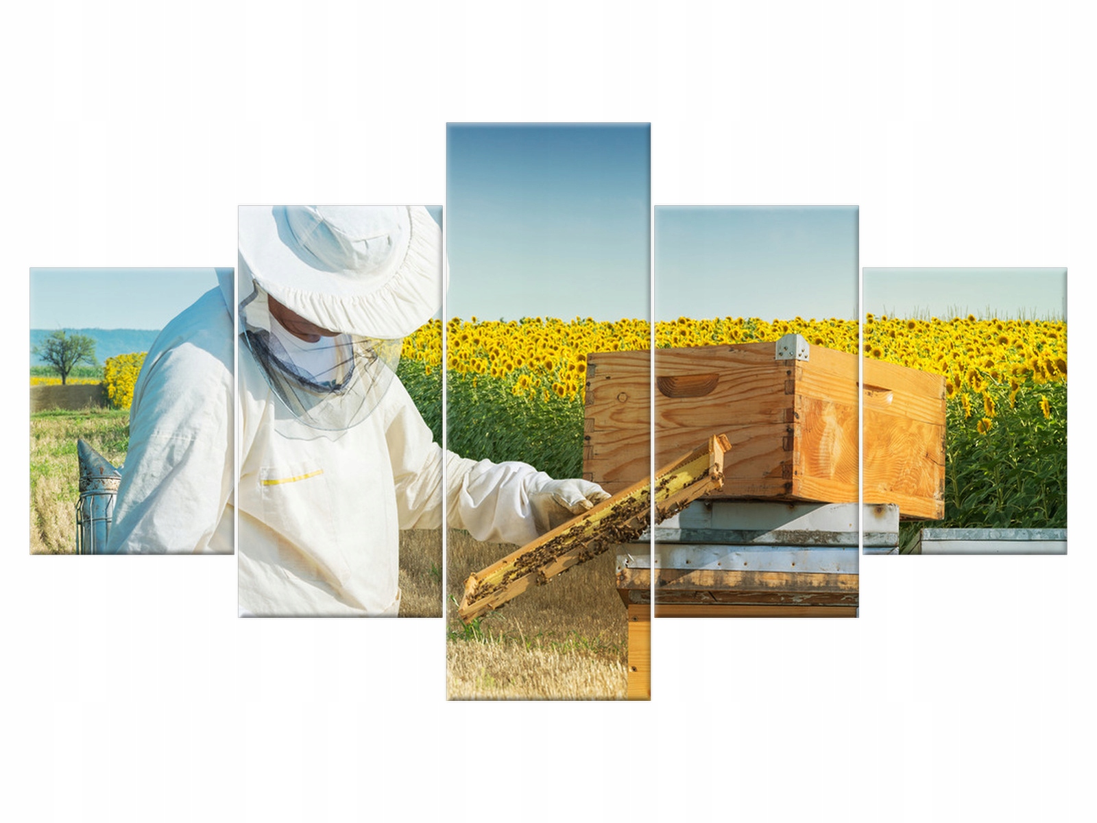 

Obraz 125x70 Pszczoła Zbieranie miodu Zwierzęta