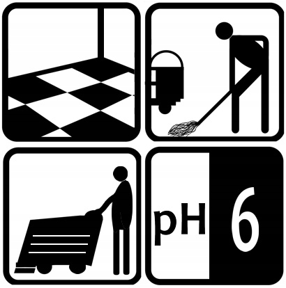 Floor Orange 1L - Płyn do podłóg zapach pomarańczy Postać płyn