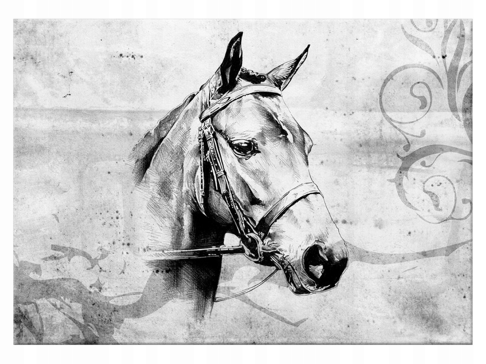 

Obraz Zwierzęta Koń 70x50 Koń na ścianę salon