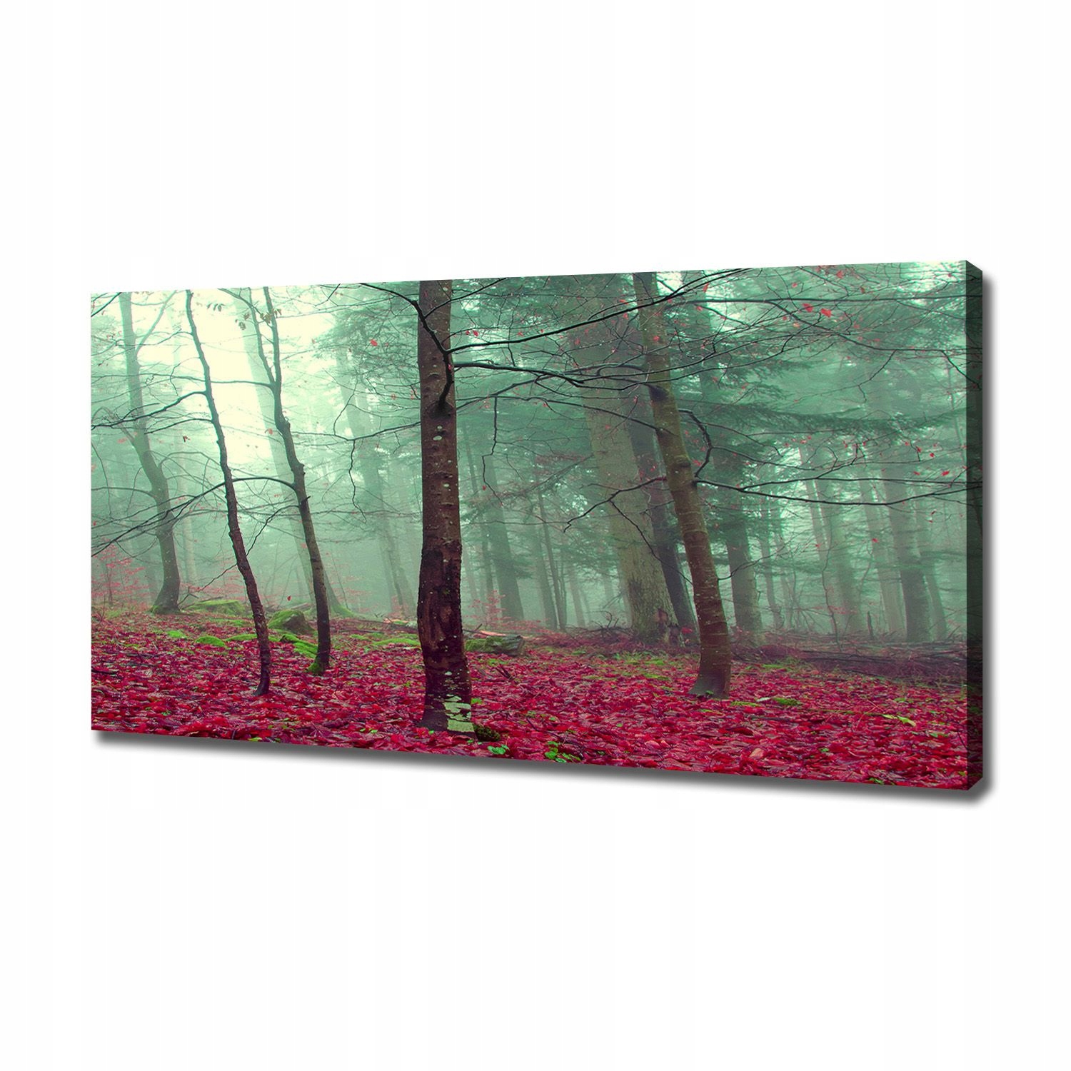 

Foto obraz na płótnie Jesienne liście 120x60 cm
