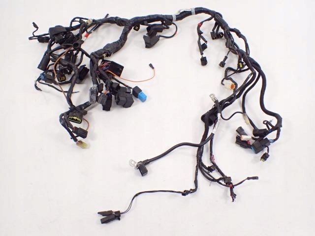 Жгут проводов Triumph Thunderbird 1700