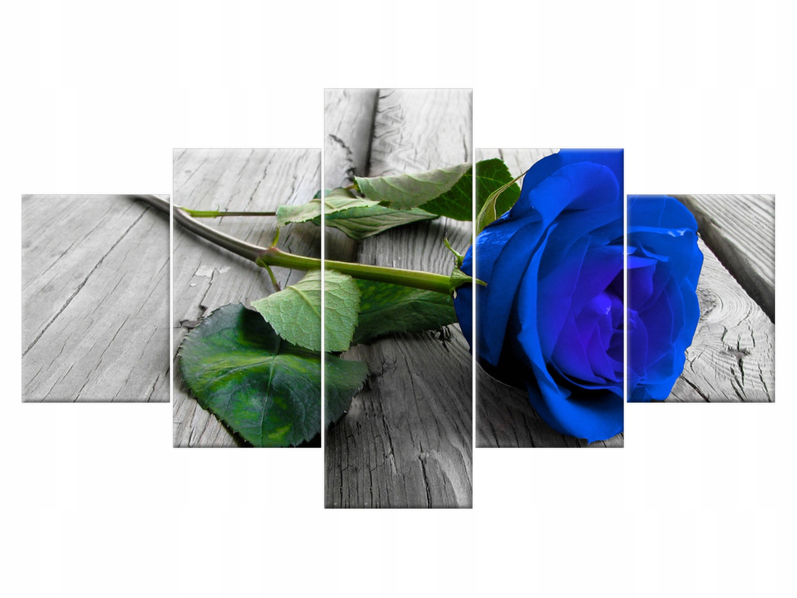 

Obraz Kwiaty Bławatkowa róża 125x70 Róża do salonu