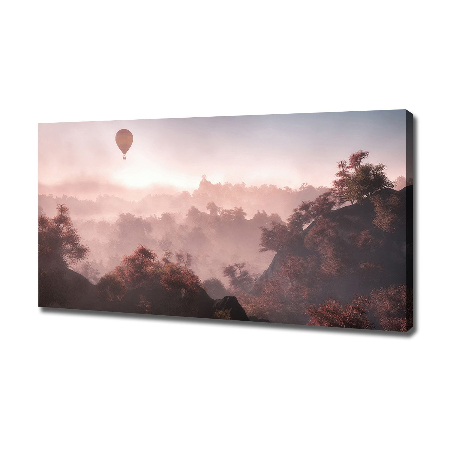 

Foto obraz na płótnie Balon nad lasem 120x60 cm