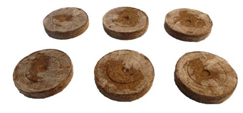 JIFFY KRĄŻKI TORFOWE 33MM 10 SZT DO WYSIEWU pH6