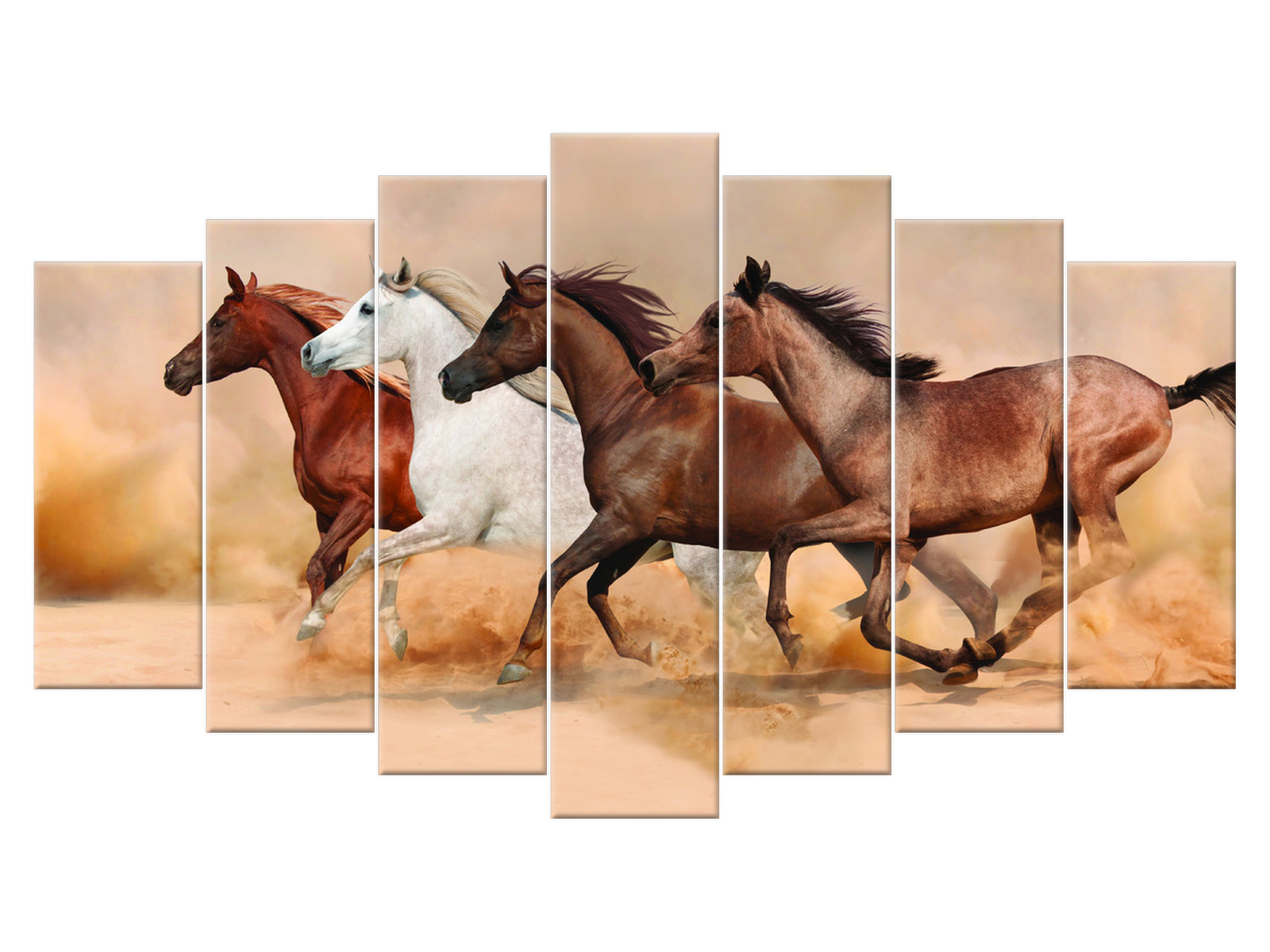 

Obraz Konie w galopie 140x80 Koń Zwierzęta salon