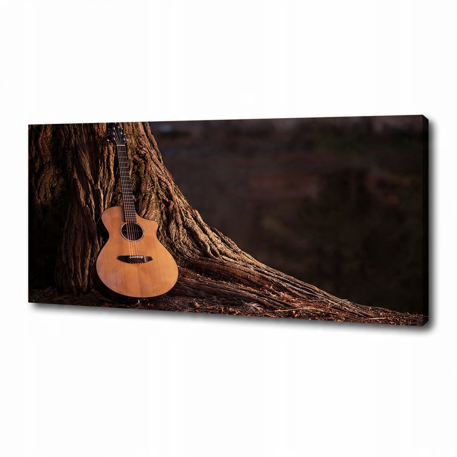 

Foto obraz na płótnie Gitara akustyczna 125x50 cm