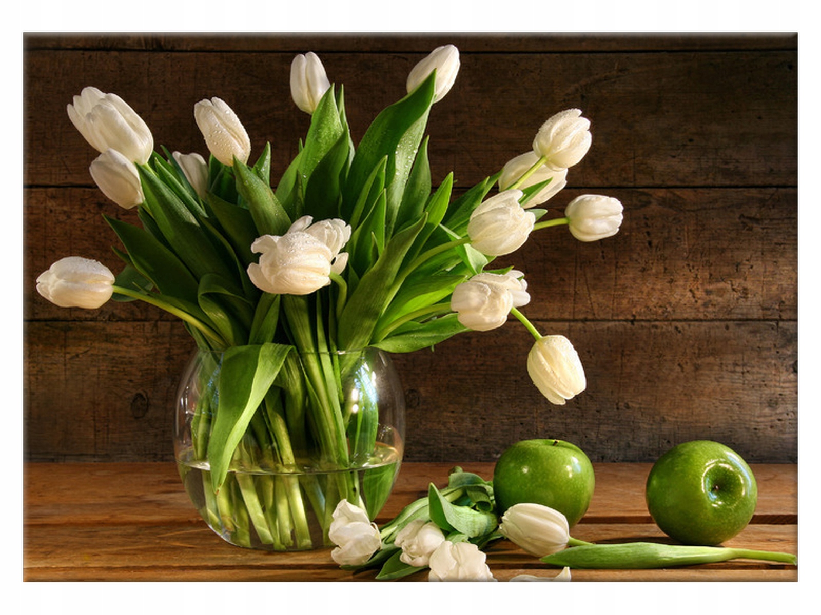 

Obraz Rośliny Białe tulipany 70x50 Tulipan kuchnia