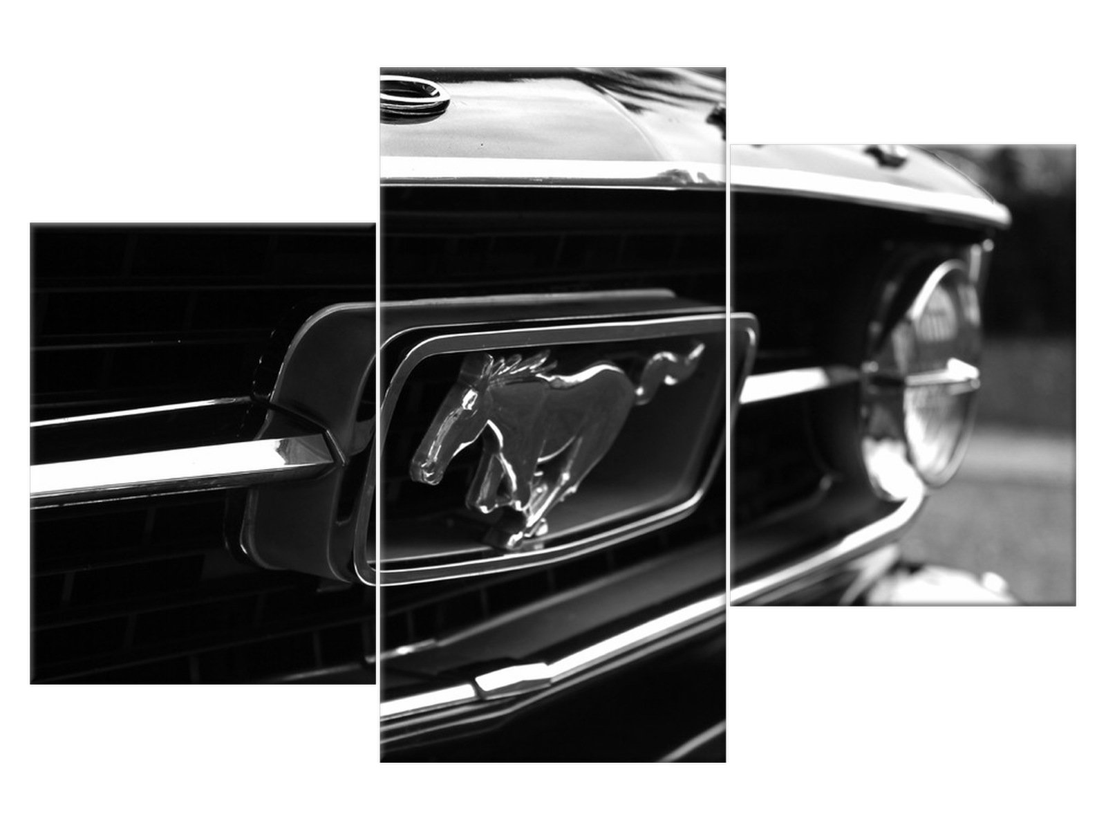 

Obraz Pędzący Mustang - Spunkr 90x60 Motoryzacja