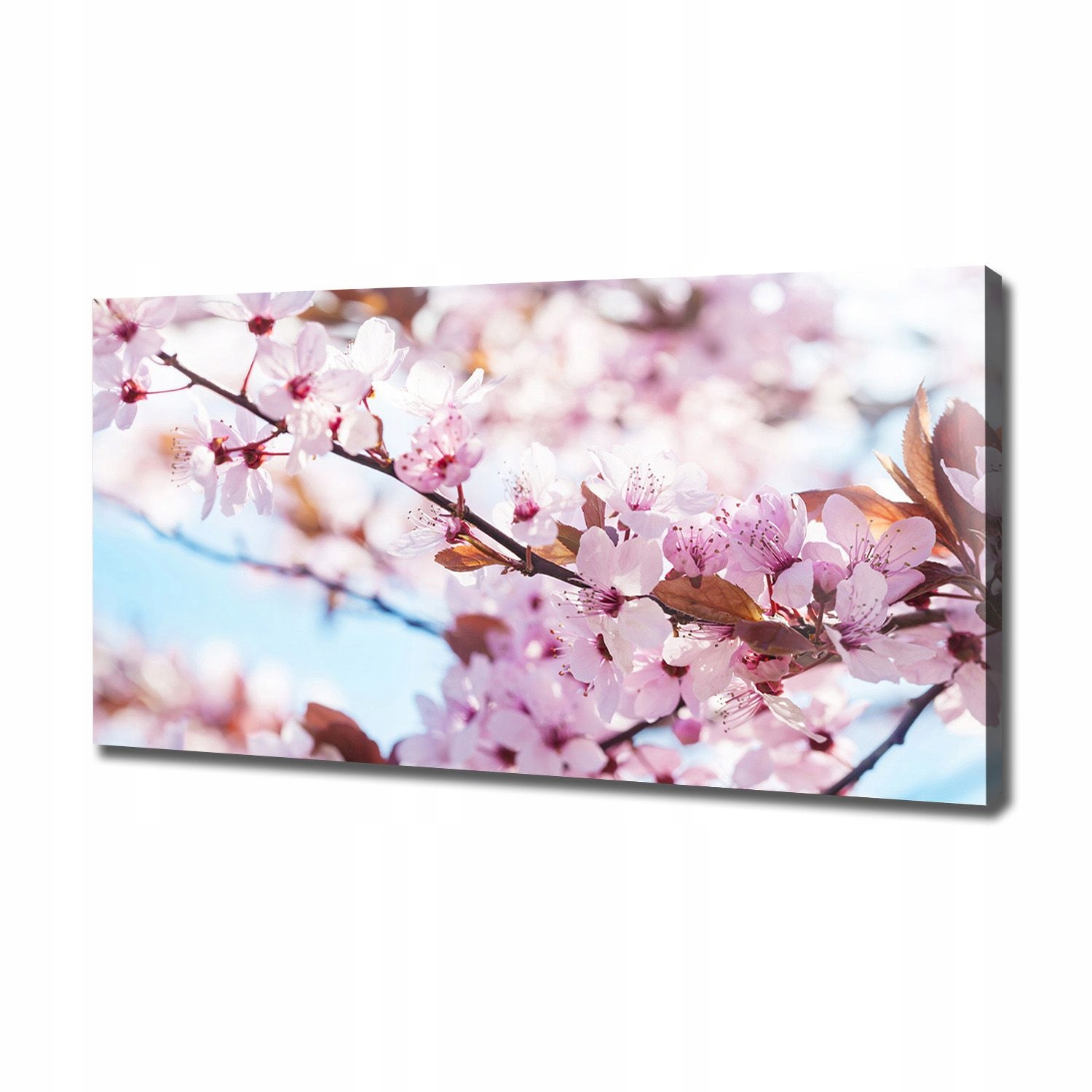 

Duży foto obraz na płótnie Kwiaty wiśni 120x60 cm