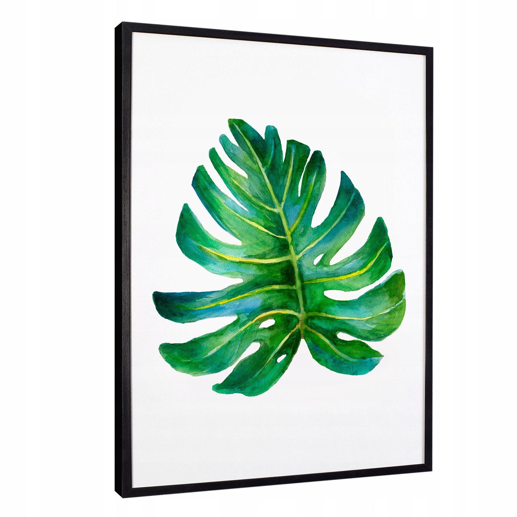 

Nowoczesne obrazy w ramie leaves liście monstera