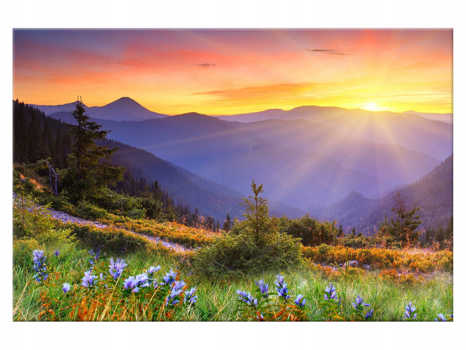 

Obraz 90x60 Łąka Łąka w górach Zachód słońca