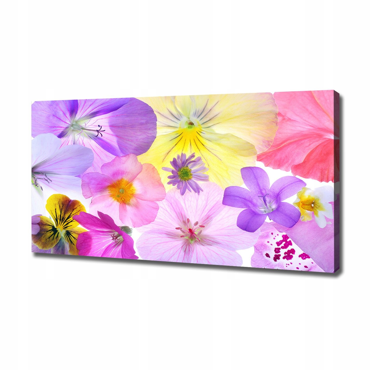 

Duży foto obraz na ścianę canvas Bratki 120x60 cm