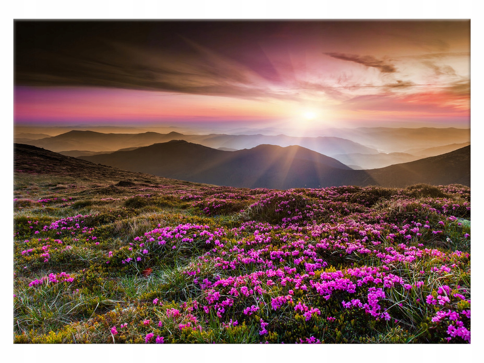 

Obraz Łąka Piękny krajobraz 70x50 Góry do salonu