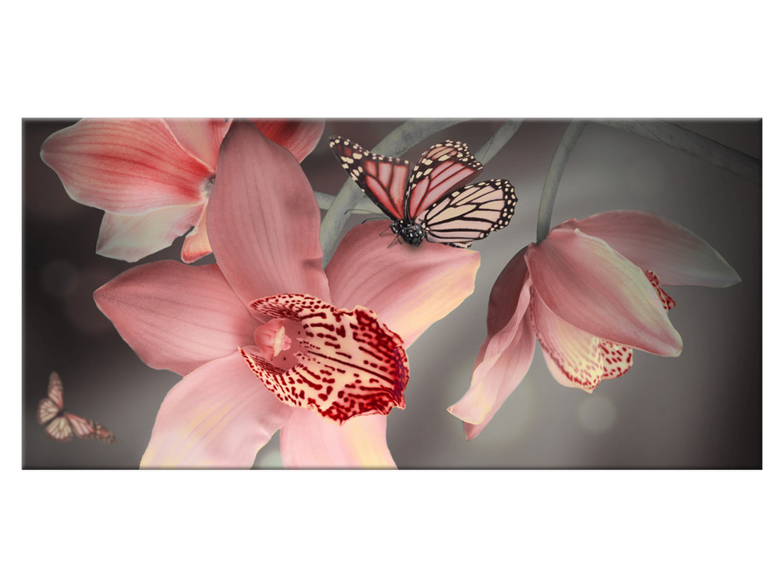 

Obraz Motylek na storczyku 115x55 1979A_1AE