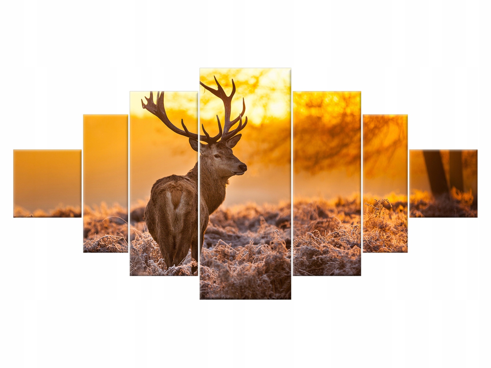 

Obraz Pejzaż Jeleń Rykowisko 200x100 Zwierzęta