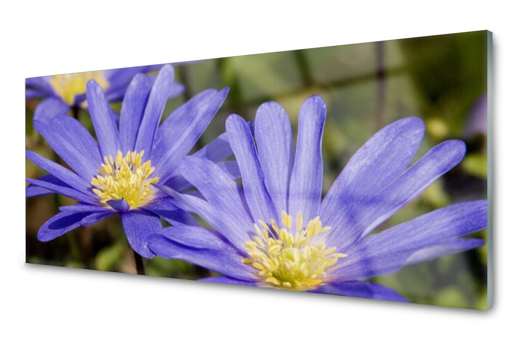 

Lacobel Panel Ścienny Foto Kwiaty Roślina 120x60