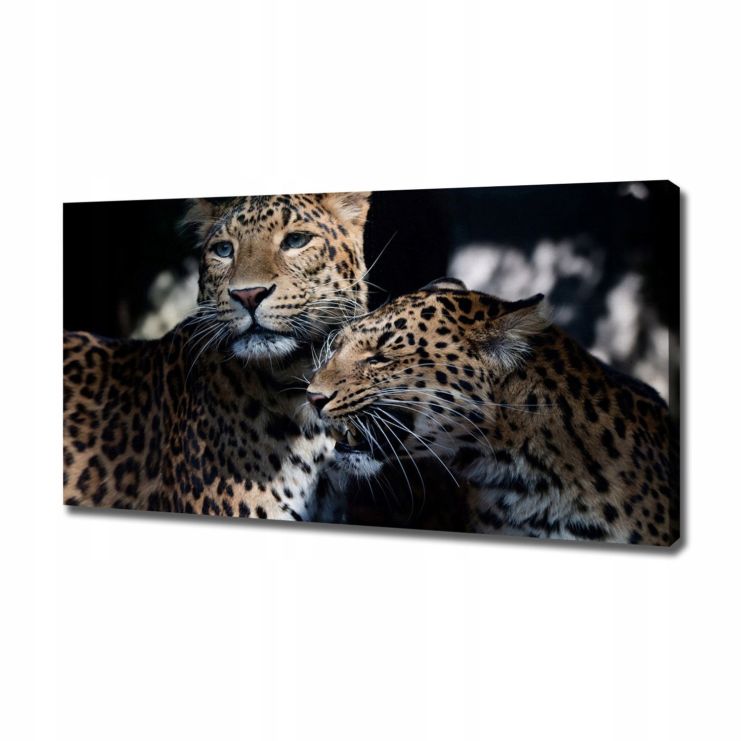 

Foto obraz canvas do salonu Dwa lamparty 120x60 cm