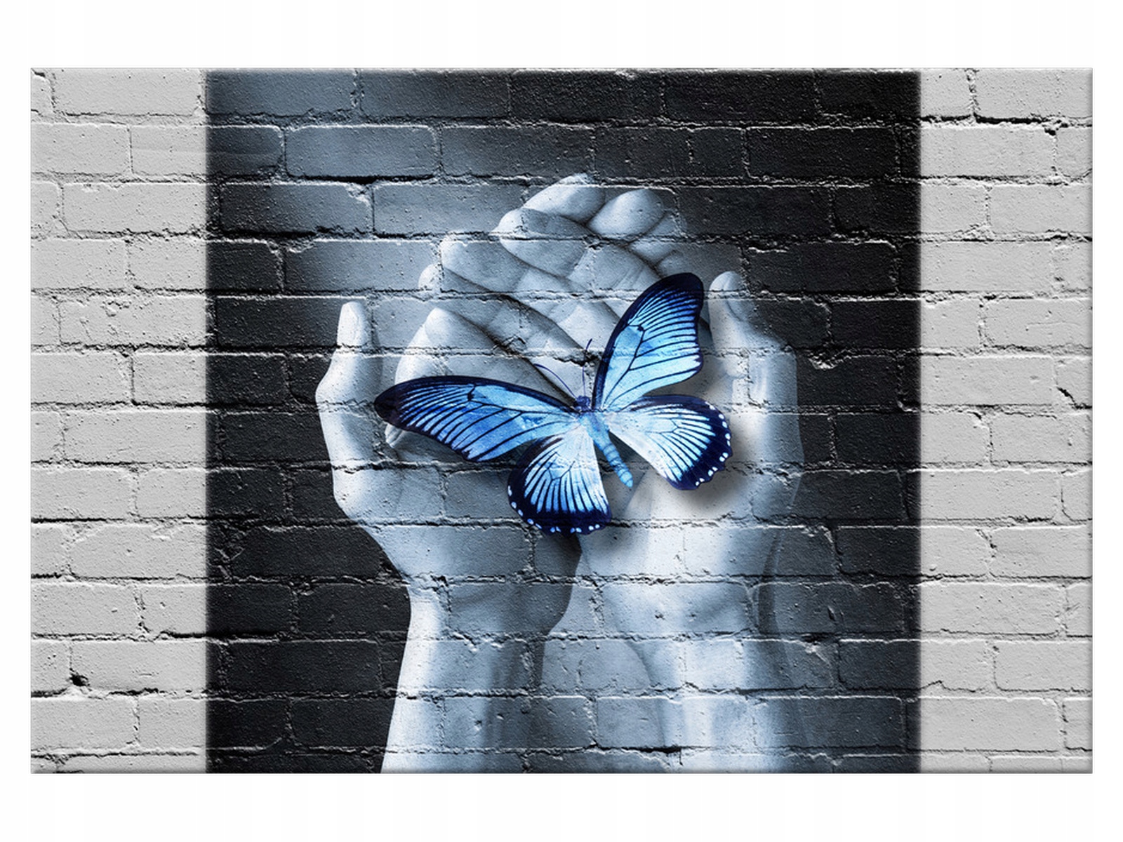 

Obraz Motyl na dłoniach 90x60 Abstrakcje Motyl