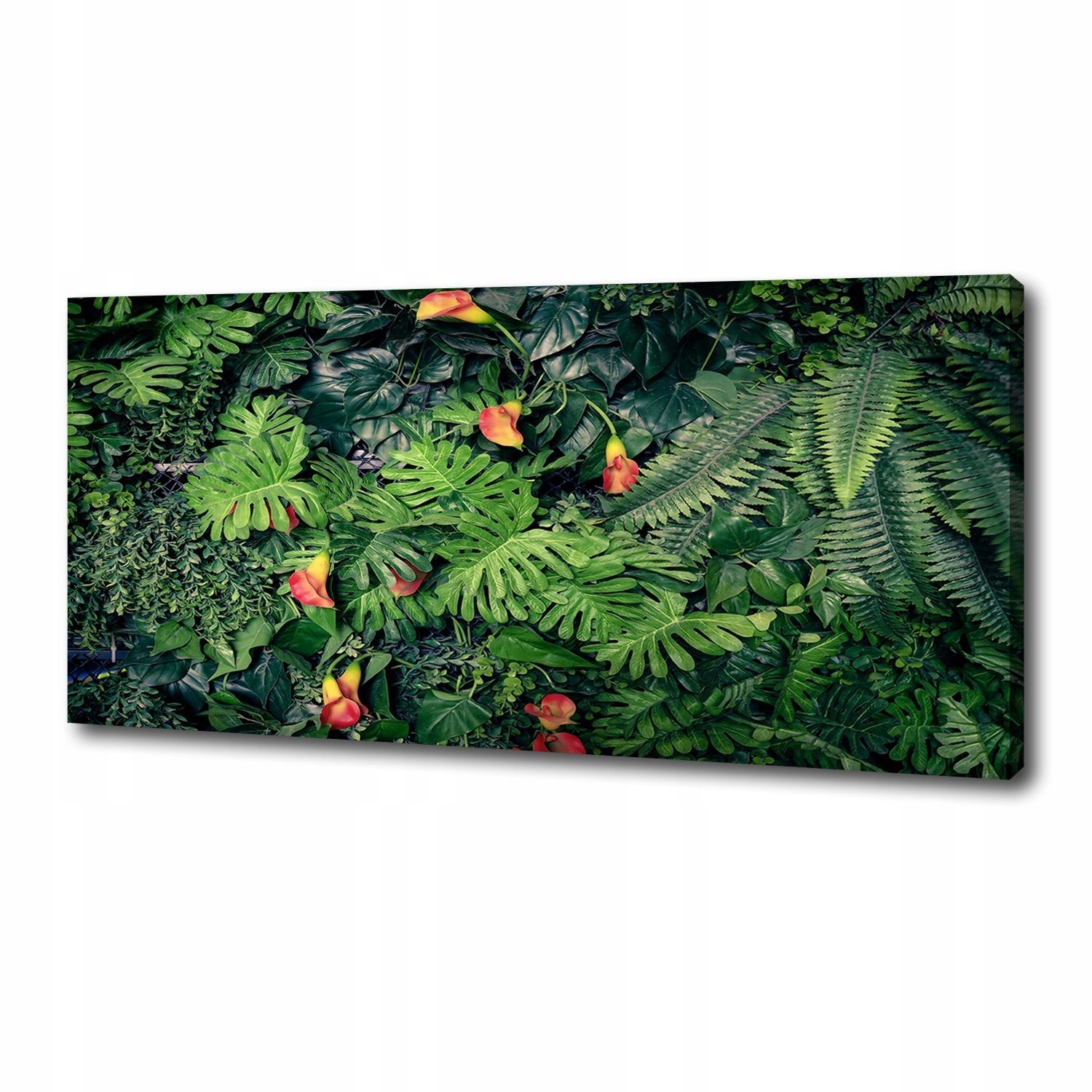 

Foto obraz na płótnie Egzotyczna dżungla 125x50 cm