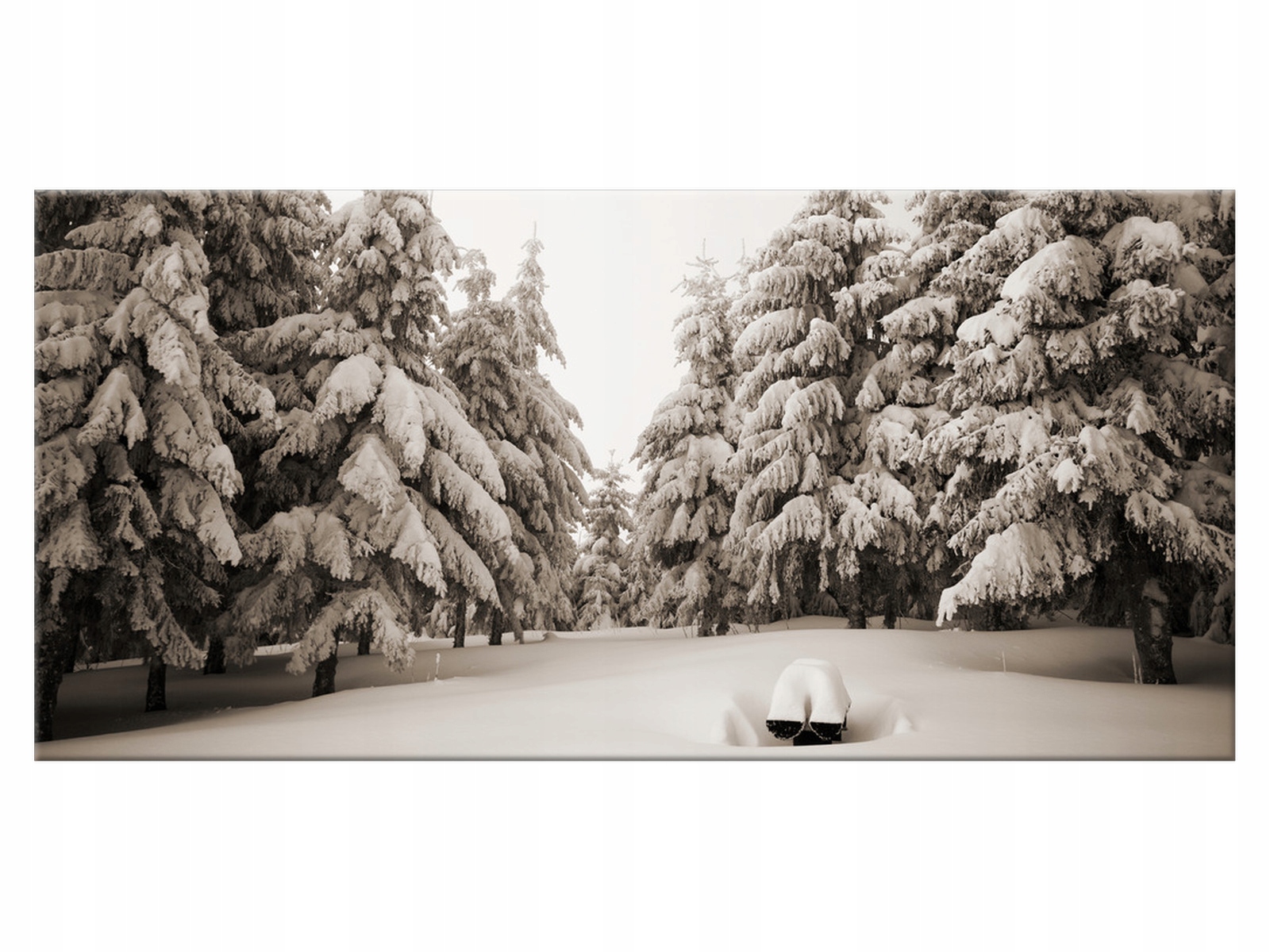 

Obraz na płótnie Góry Sowie Zima Góry 115x55 Góry