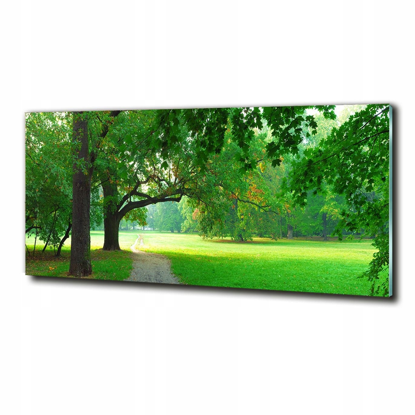 

Obraz szklany prezent pokój Park jesienią 125x50