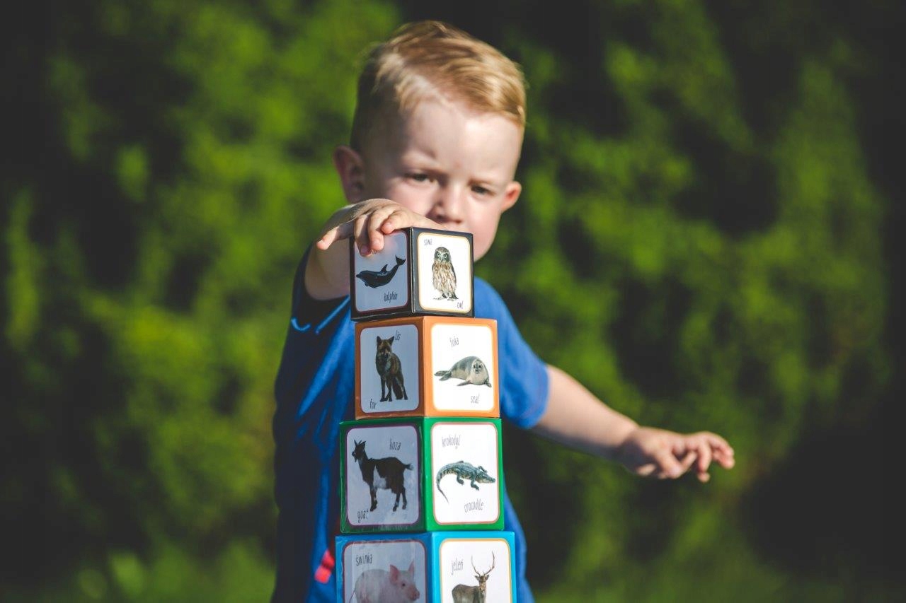 PIRAMIDA ZABAW DWUJĘZYCZNA Montessori ZWIERZĘTA +1 Bohater brak