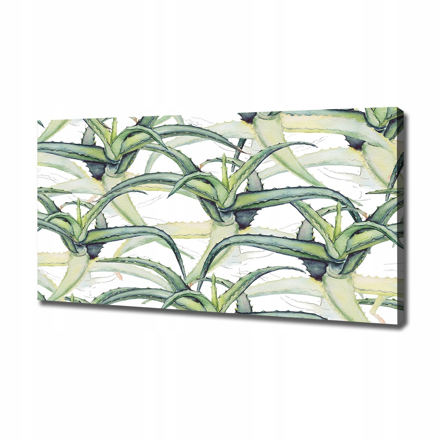 

Foto obraz ze zdjęcia do salonu Aloes 120x60 cm