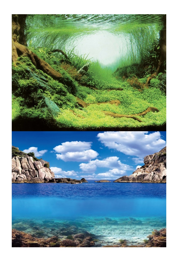 

Aqua-nova Fototapeta Tło 2X Akwarium 100X50CM P/o
