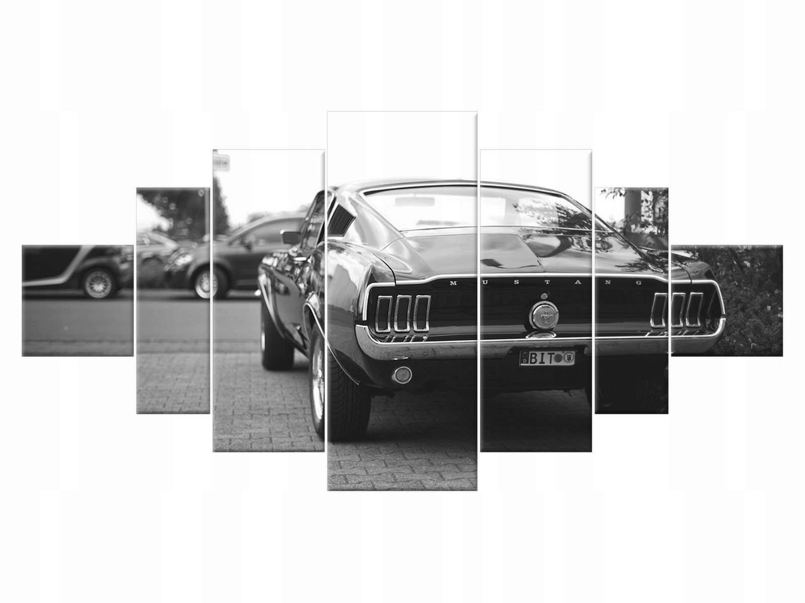 

Obraz Niemcy Classic Mustang 200x100 Samochód