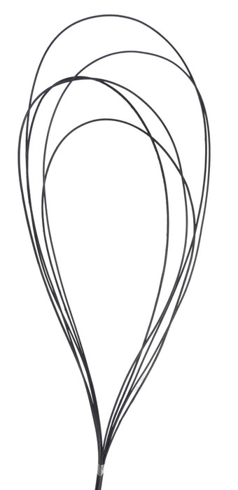 

Susz egzotyczny Rattan Pętla wys. 50cm Petratt
