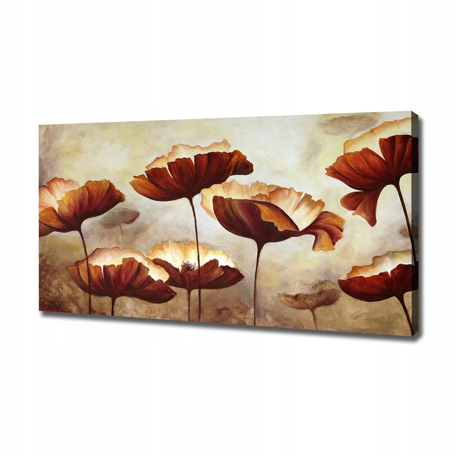 

Nowoczesny obraz na płótnie zdjęcie Maki 120x60 cm