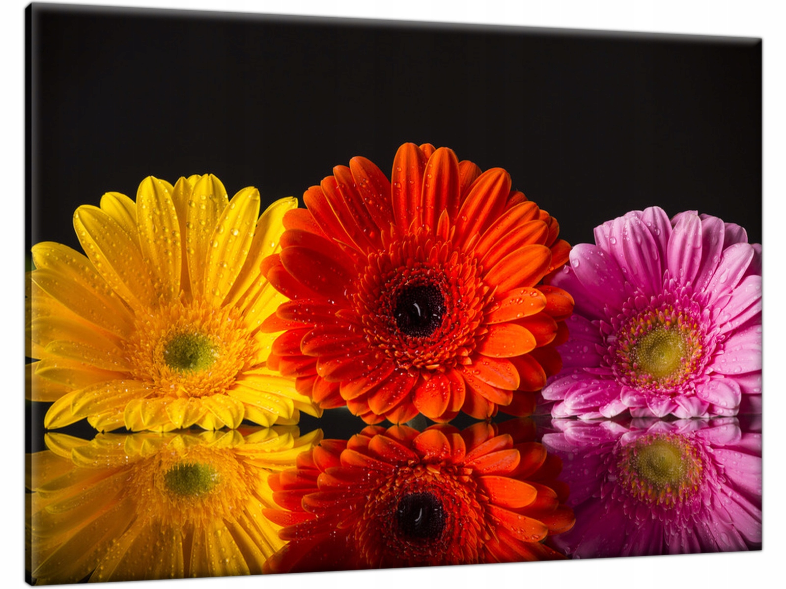 

Obraz na płótnie Kwiaty 100x70 cm dla dziewczyny