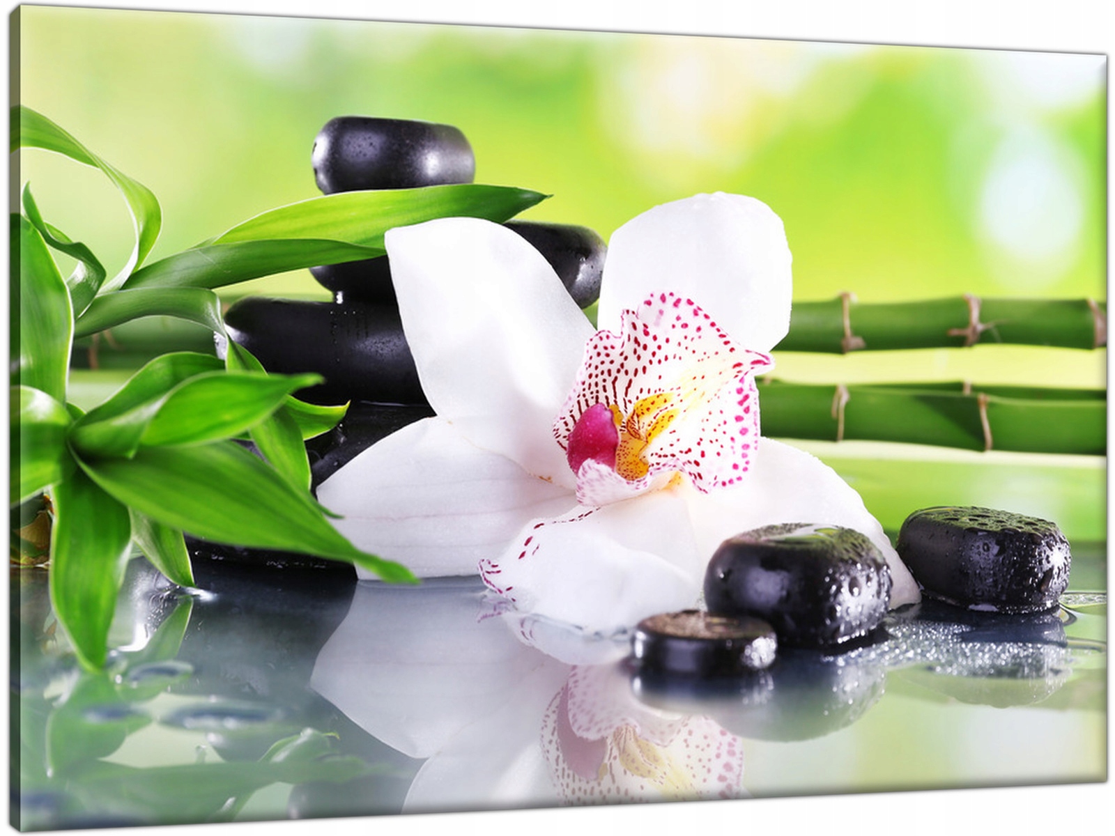 

Kamienie Spa Storczyk 90x60 Nowoczesny Obraz