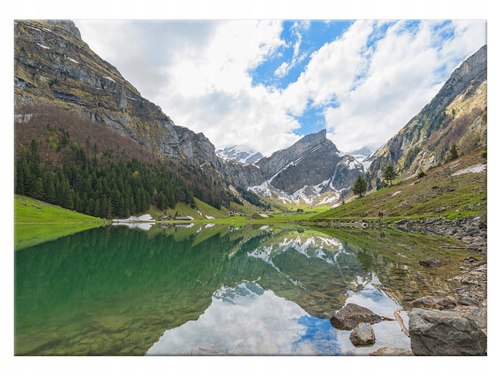 

Obraz Rośliny Jezioro Seealpsee 70x50 Drzewo