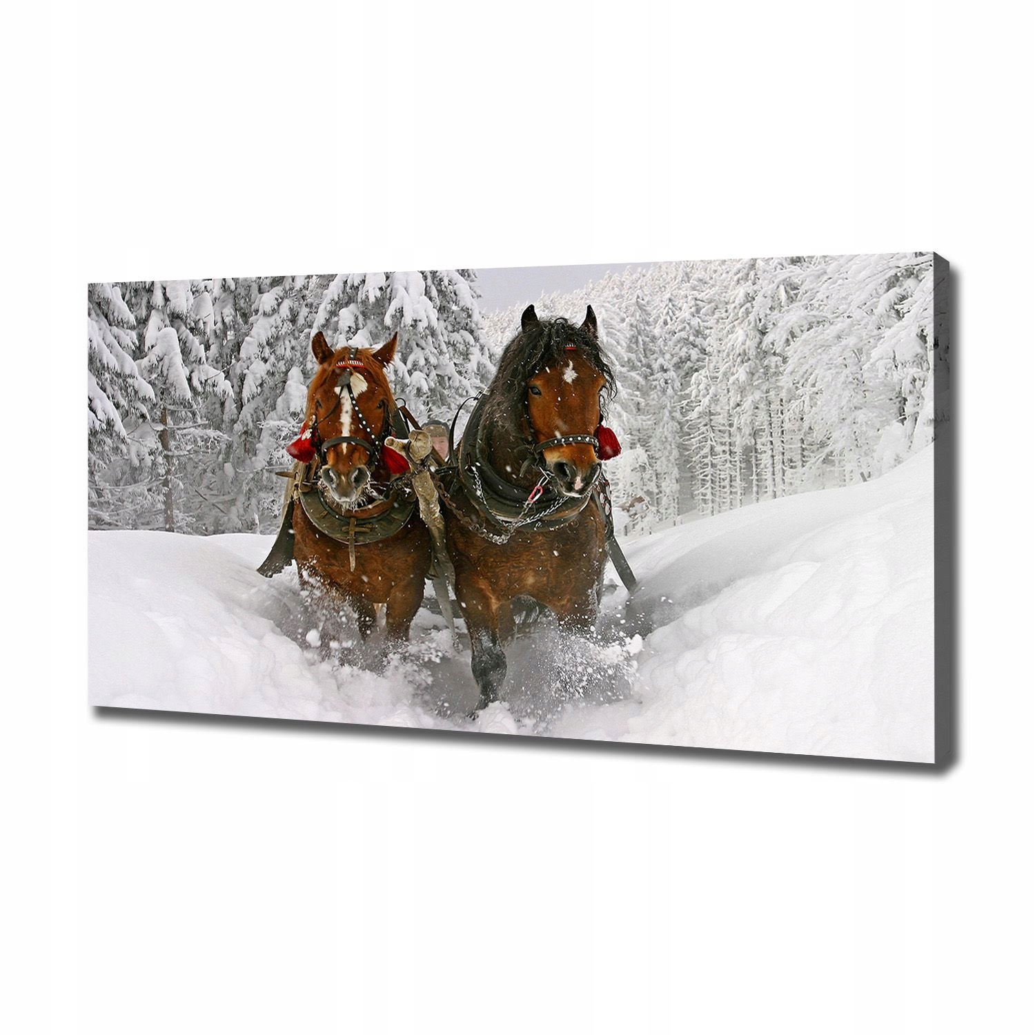

Foto obraz ze zdjęcia do salonu Kulig 120x60 cm