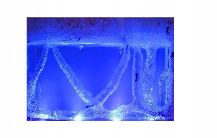 

Podświetlane Akwarium Dla Mrówek Oświetlenie Led