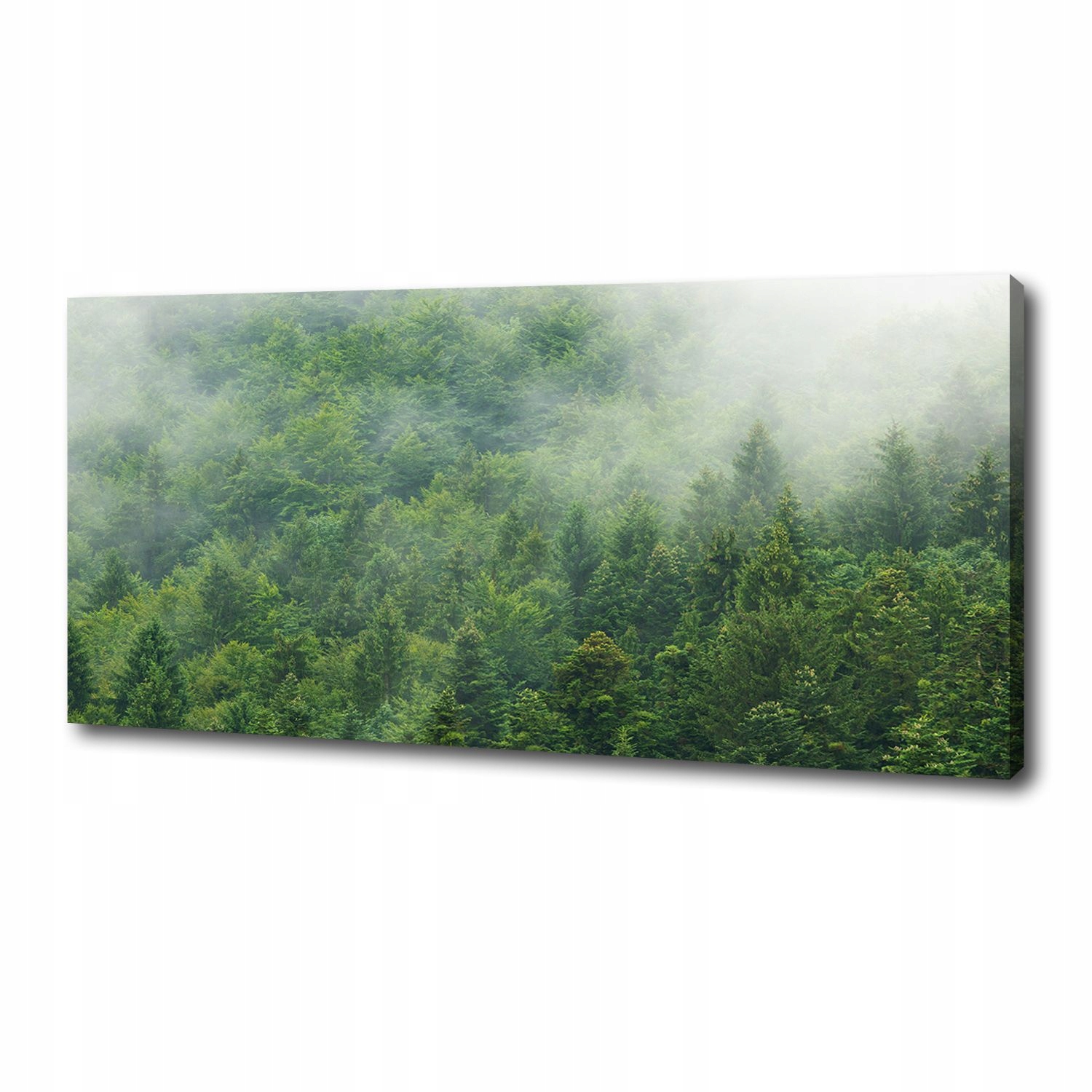 

Foto obraz na płótnie Tajemniczy las 125x50 cm