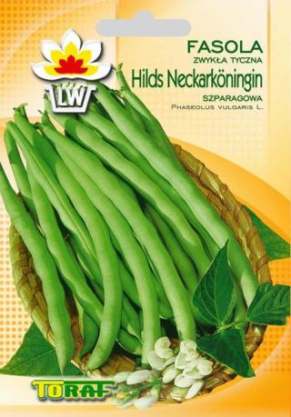 Fasola szparagowa tyczka Hilds Neckarkoningin 10g — 9