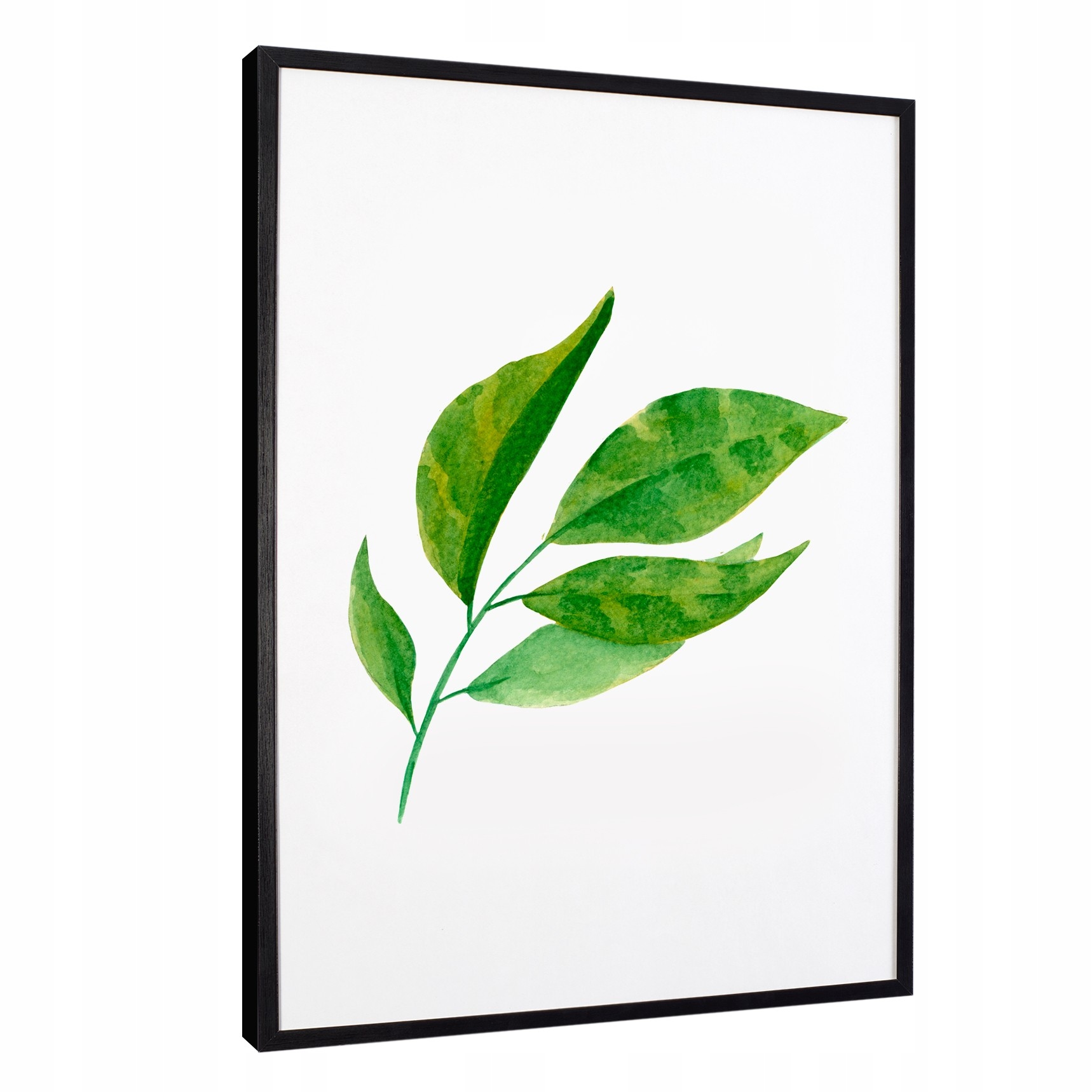 

Nowoczesne obrazy w ramie leaves zielone liście