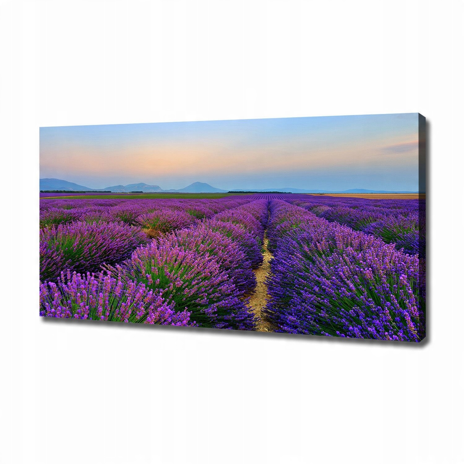 

Duży foto obraz na płótnie Pole lawendy 120x60 cm
