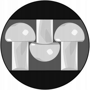 3M RZEP SAMOPRZYLEPNY GRZYBKOWY TAŚMA 25mm KLEJ 3M Długość 1 m