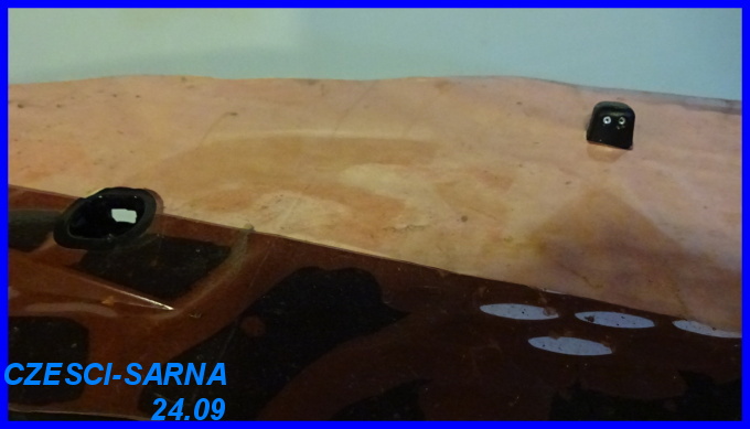 PODSZYBIE FORD TRANSIT 00-06 Typ samochodu Samochody dostawcze