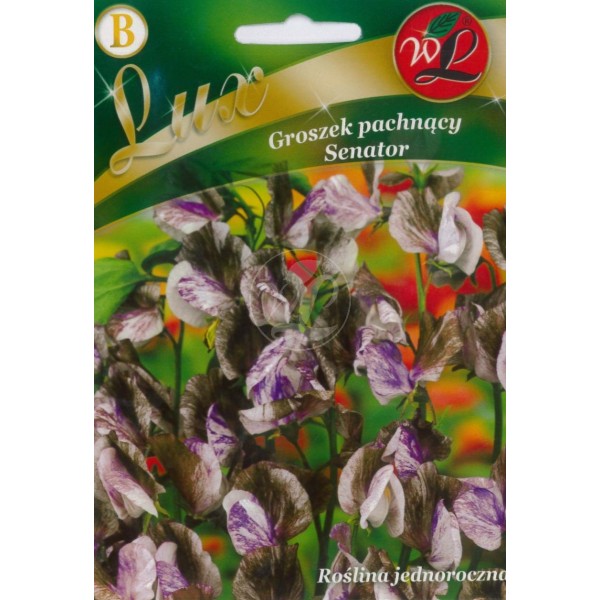 Nasiona Groszek pachnący czerwony, 3g — 6